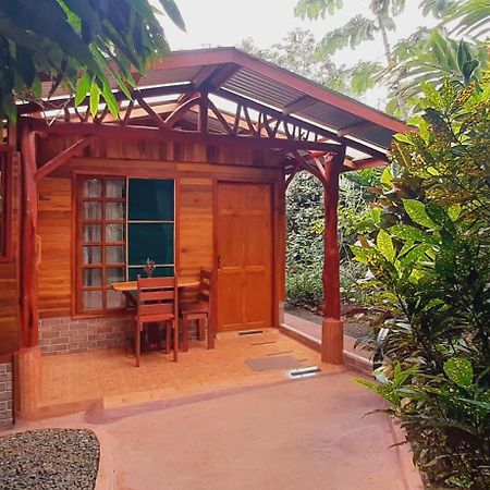 Bed and Breakfast Jardin Entre Montanas Bijagua Esterno foto