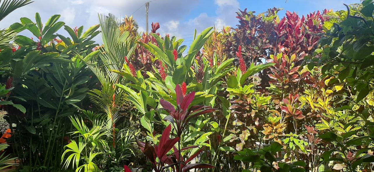 Bed and Breakfast Jardin Entre Montanas Bijagua Esterno foto