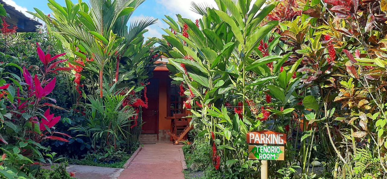 Bed and Breakfast Jardin Entre Montanas Bijagua Esterno foto