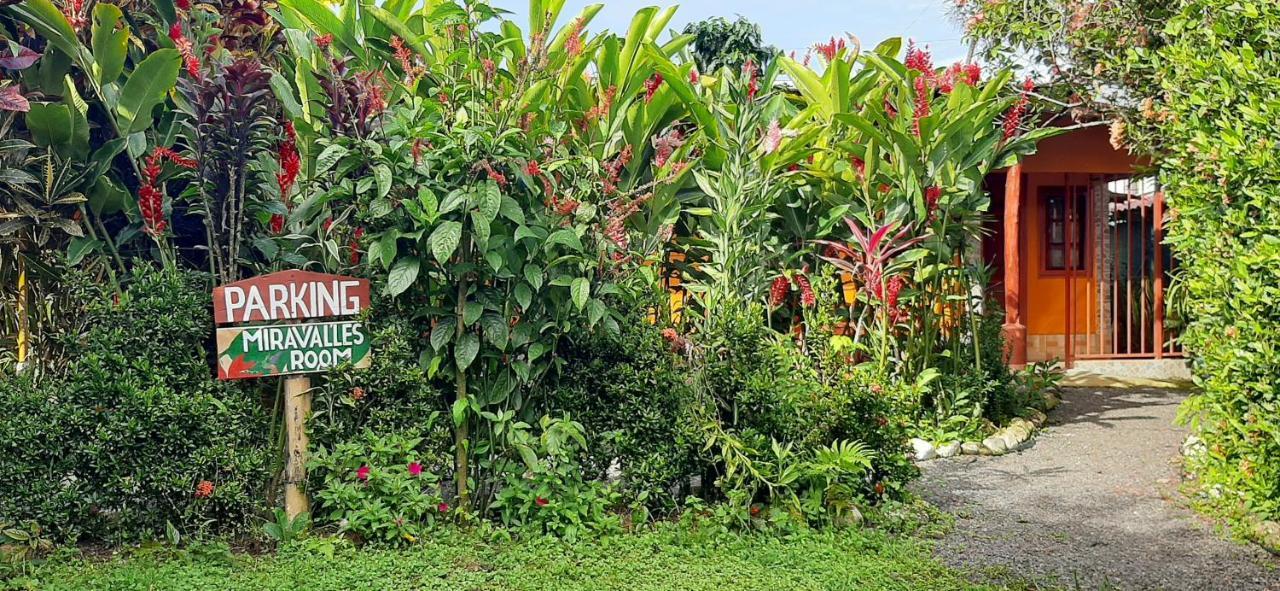 Bed and Breakfast Jardin Entre Montanas Bijagua Esterno foto