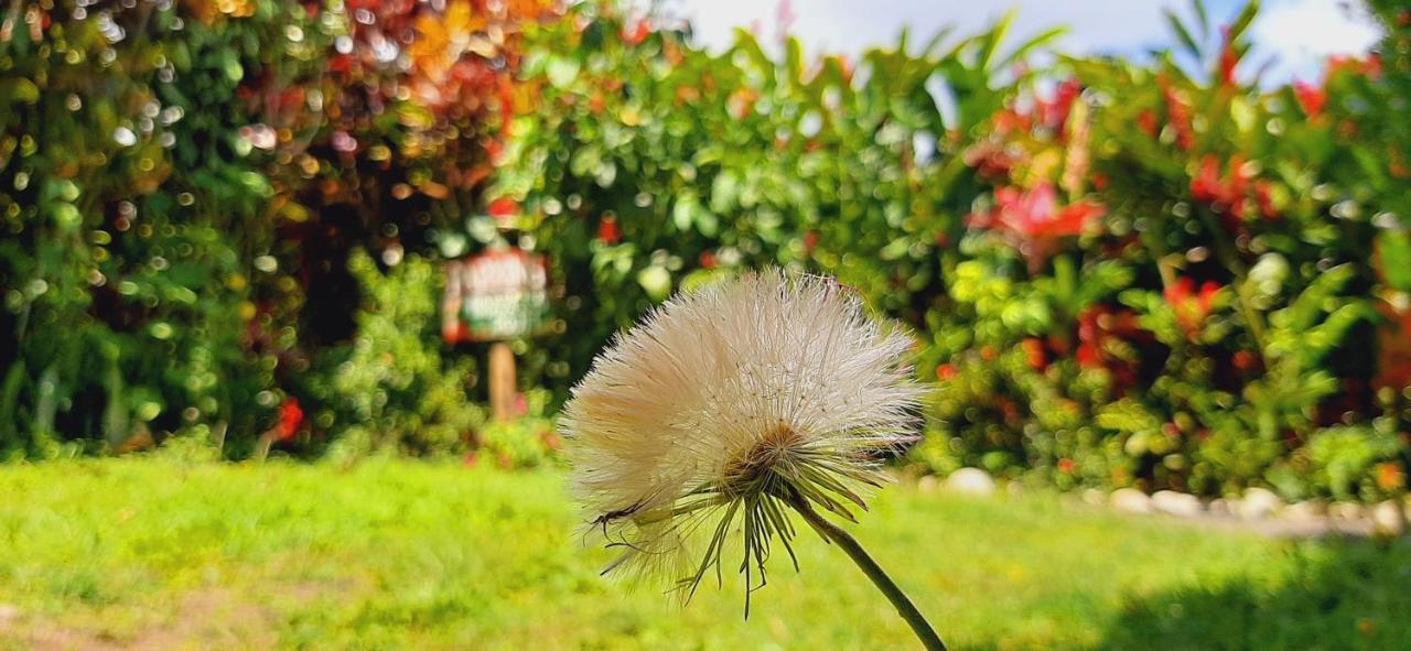 Bed and Breakfast Jardin Entre Montanas Bijagua Esterno foto