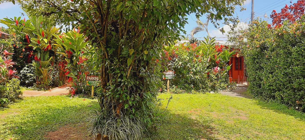Bed and Breakfast Jardin Entre Montanas Bijagua Esterno foto