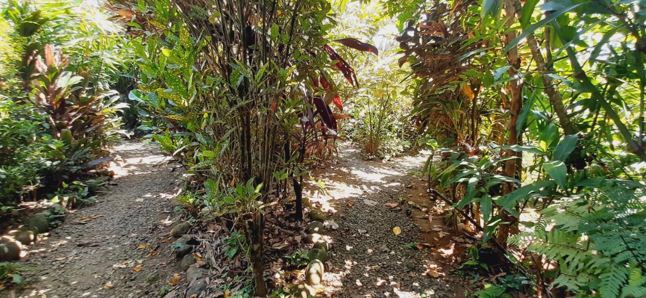 Bed and Breakfast Jardin Entre Montanas Bijagua Esterno foto