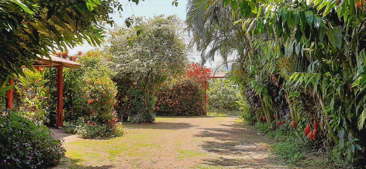 Bed and Breakfast Jardin Entre Montanas Bijagua Esterno foto